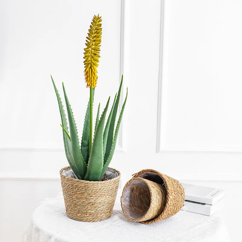 Seagrass Flower, Plant Basket