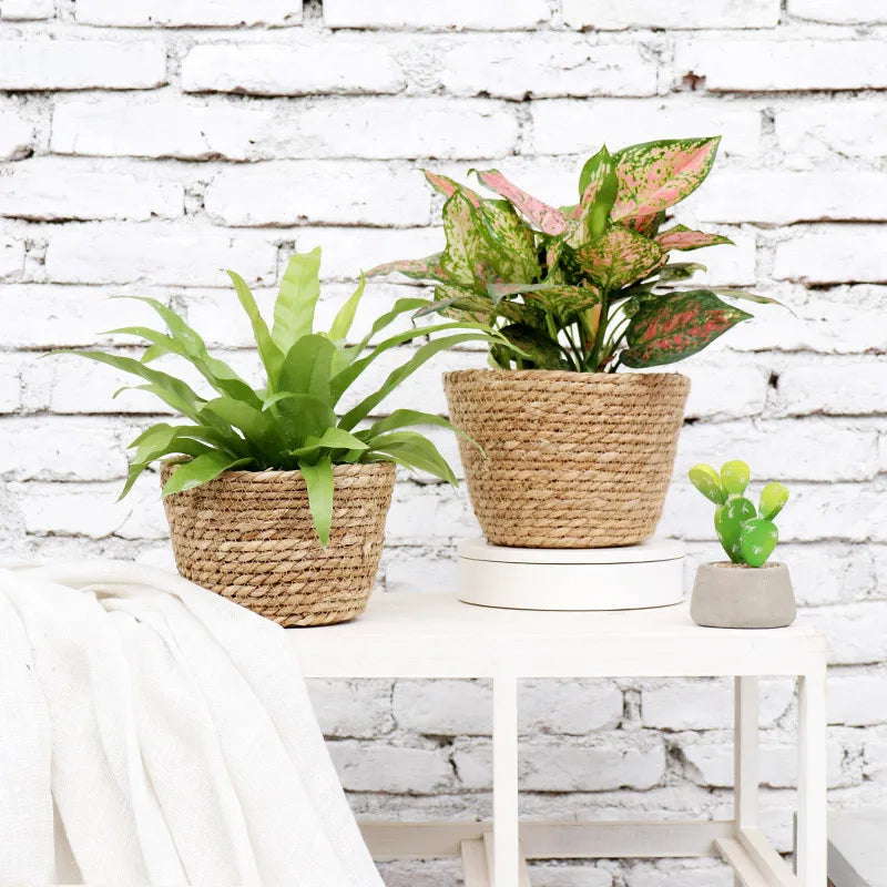 Seagrass Flower, Plant Basket