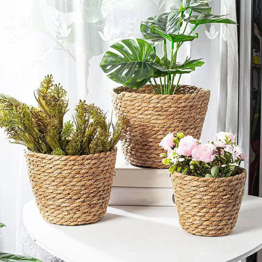 Seagrass Flower, Plant Basket